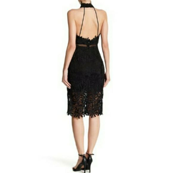 Bardot Kara Lace Halter Knee Length Dress Size 4 XS lace black lbd - Picture 2 of 12